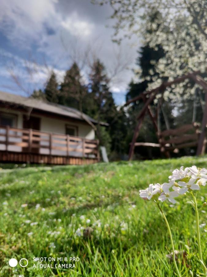 Wierchowyna Villa Uherce Mineralne Eksteriør billede